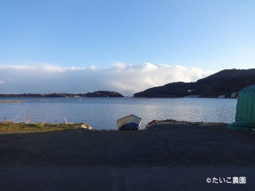 たいこ農園｜家の前の湖の風景