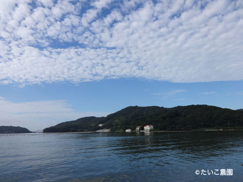 たいこ農園｜きれいな空